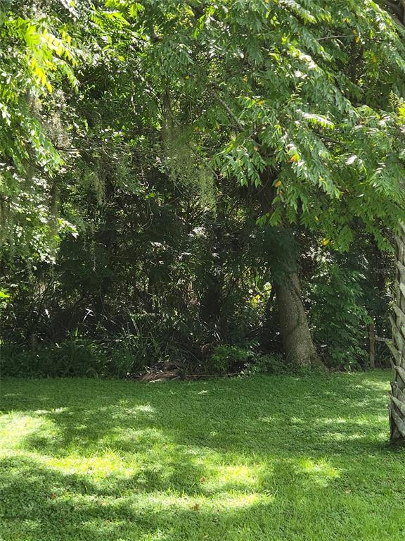 DUTTON AVENUE, DELAND, FL — photo 2 of 6