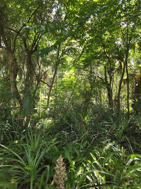 DUTTON AVENUE, DELAND, FL — photo 3 of 6