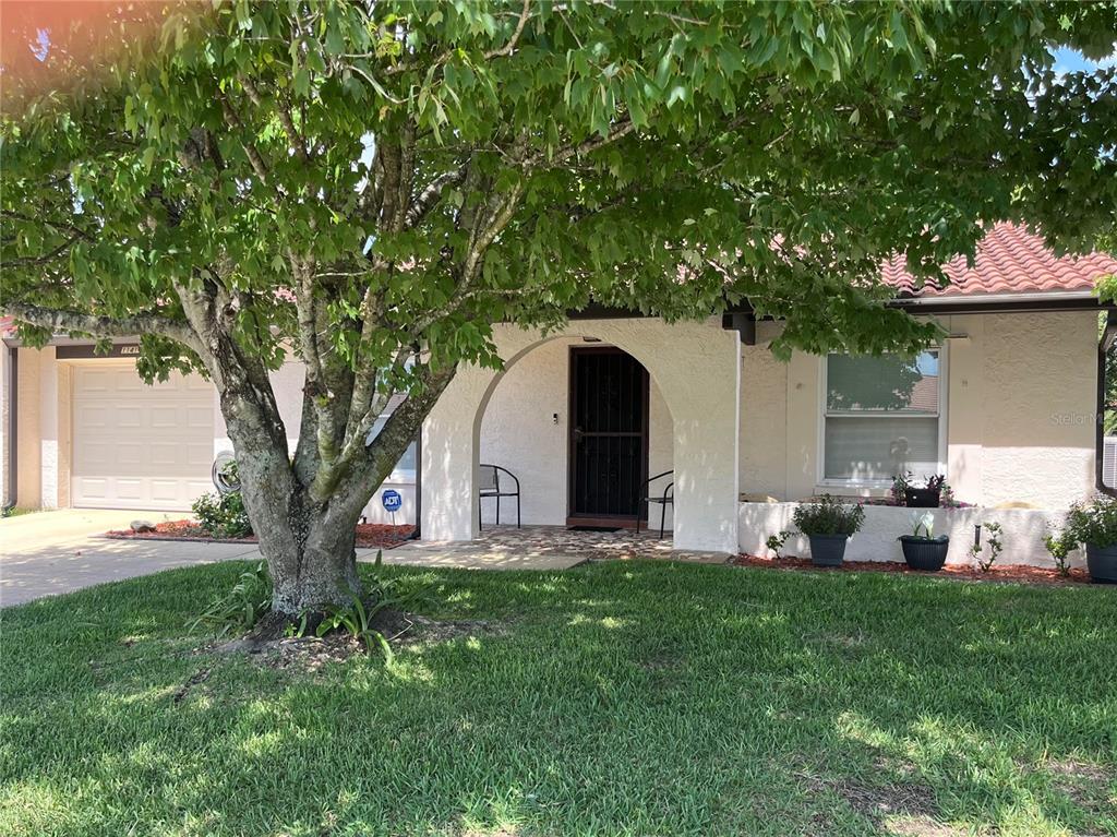 A single-story house with a white stucco exterior, arched entryway, and a large front tree — 11414 STANSBERRY DRIVE, PORT RICHEY, FL
