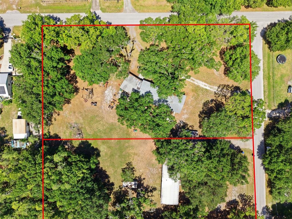 An aerial view shows a residential lot with two structures surrounded by mature trees — 17214 CHINABERRY ROAD, LUTZ, FL