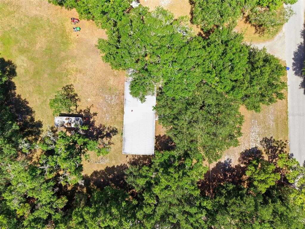 An aerial view shows a rectangular house with a white roof surrounded by dense trees — 17214 CHINABERRY ROAD, LUTZ, FL