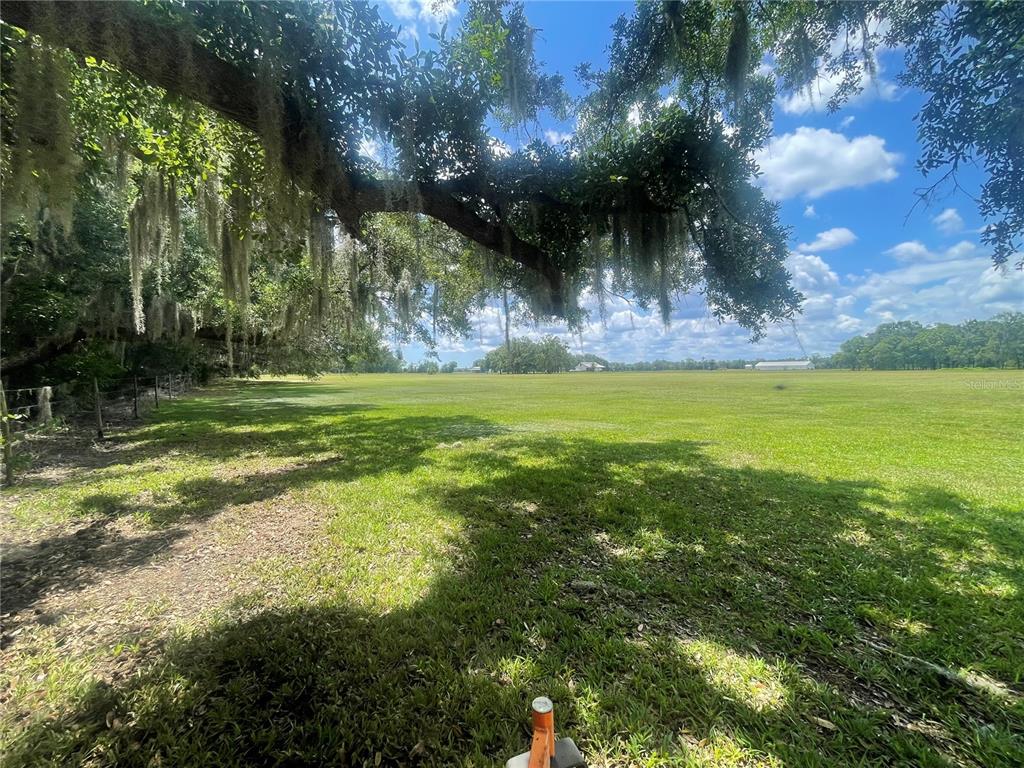 A large, grassy field is bordered by a fence and shaded by a mossy oak tree — N/A, BUNNELL, FL