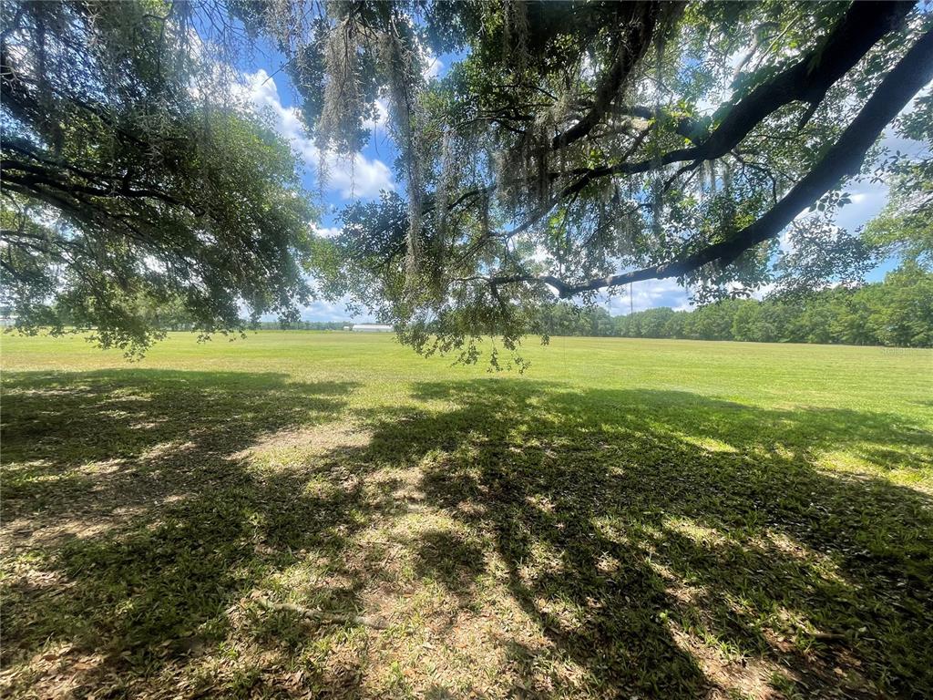 A large, grassy field is framed by the overhanging branches of mature, moss-draped oak trees — N/A, BUNNELL, FL