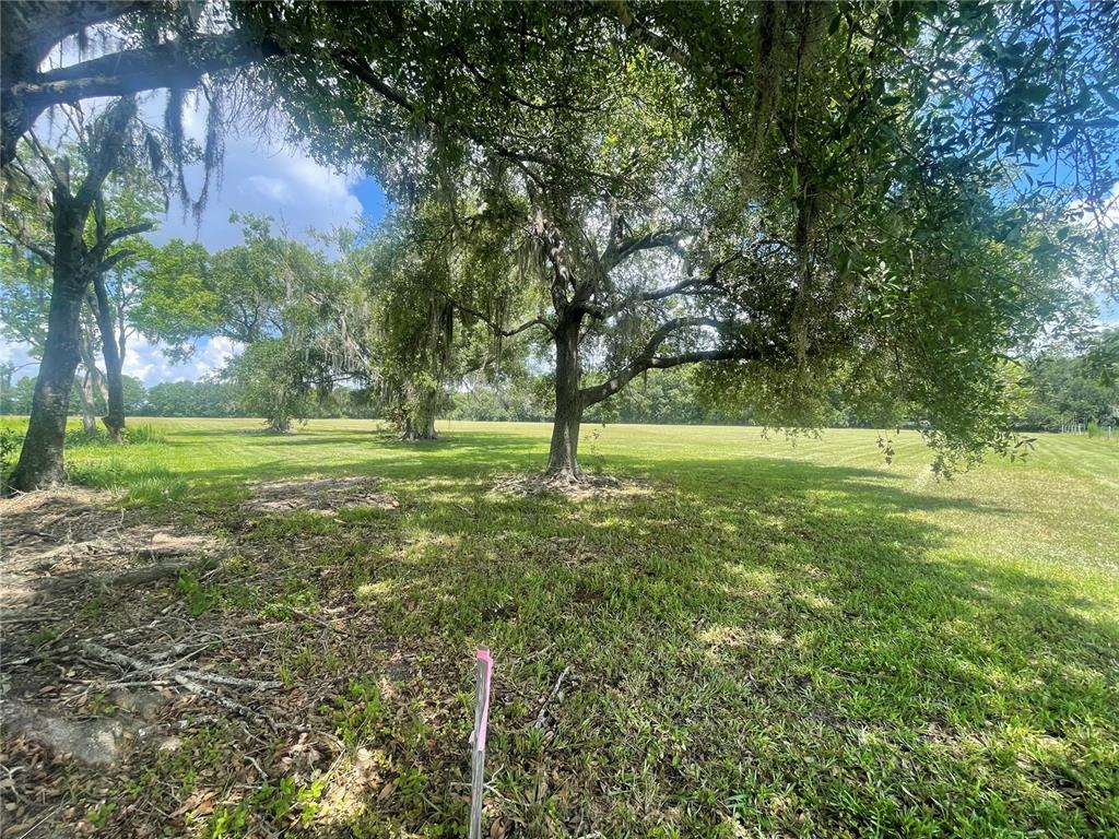 A large, grassy field features several mature oak trees with hanging Spanish moss — N/A, BUNNELL, FL