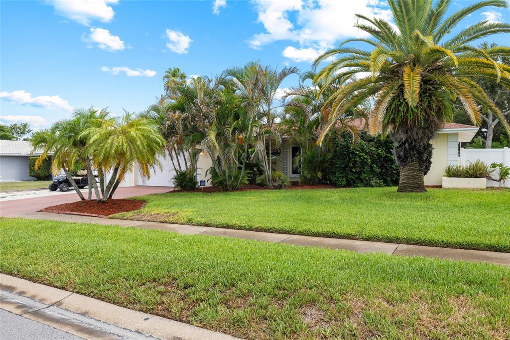 A single-story house with a large palm tree and a manicured lawn in front — 1070 MCCARTY STREET, DUNEDIN, FL