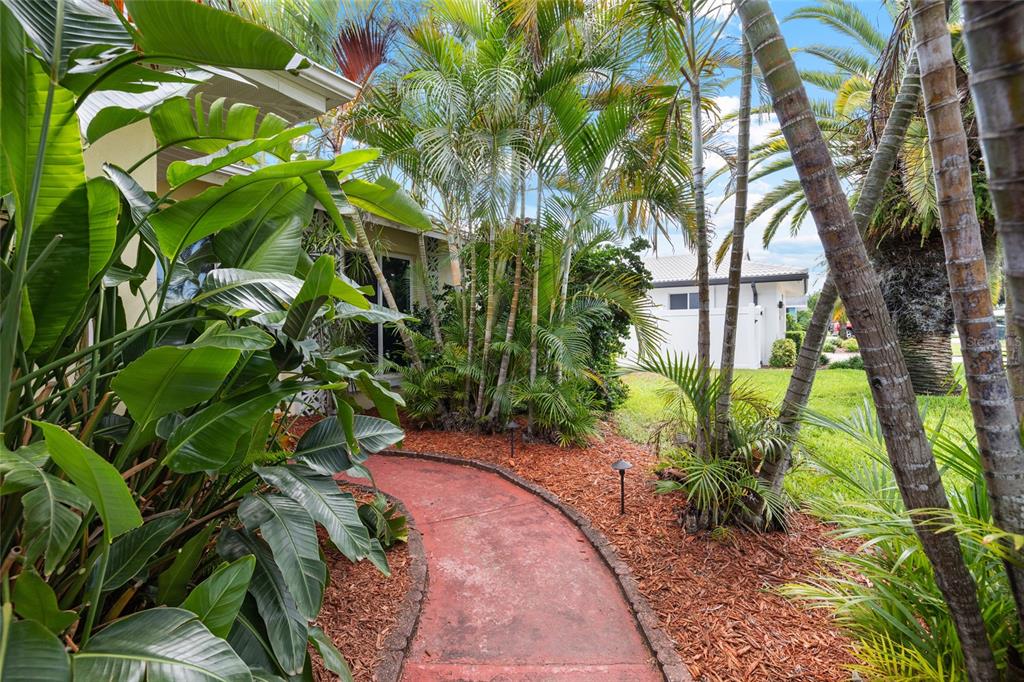 A curved red walkway leads past lush tropical plants toward a house exterior — 1070 MCCARTY STREET, DUNEDIN, FL