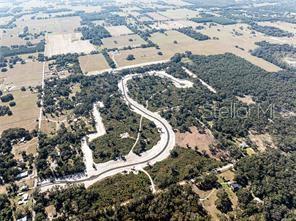 1485 Oxford Preserve TRAIL, OXFORD, FL — photo 5 of 17