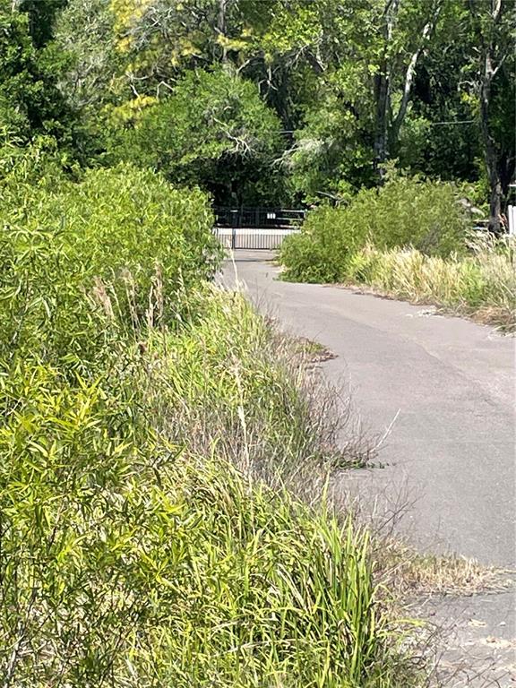 A paved path leads toward a metal gate surrounded by dense trees and tall grass — AVONWOOD, TAMPA, FL