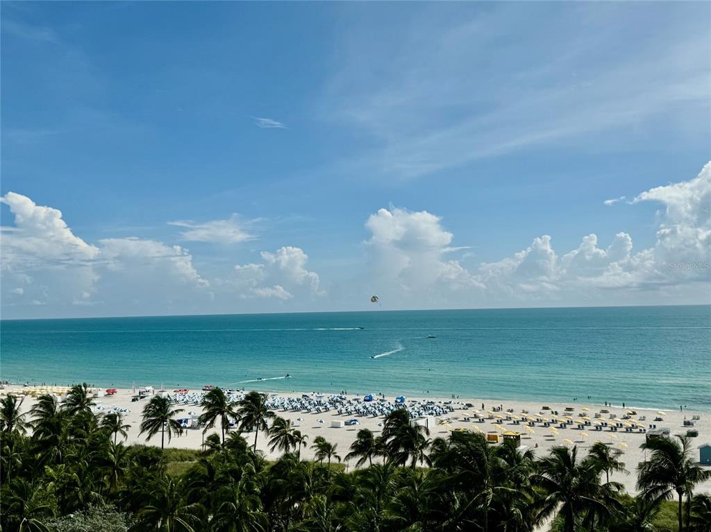 A high-angle view of a sandy beach with palm trees and a parasailer offshore — 1500 OCEAN DRIVE UNIT 905, MIAMI BEACH, FL