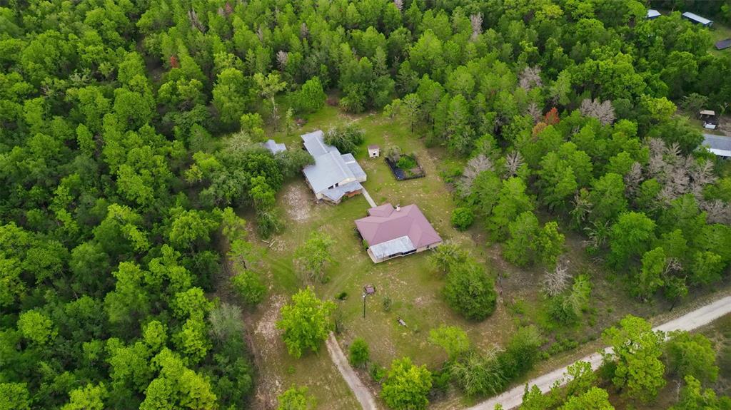 An aerial view shows two houses situated on a large, wooded lot with a dirt driveway — 14499 SANDY DRIVE, BROOKSVILLE, FL