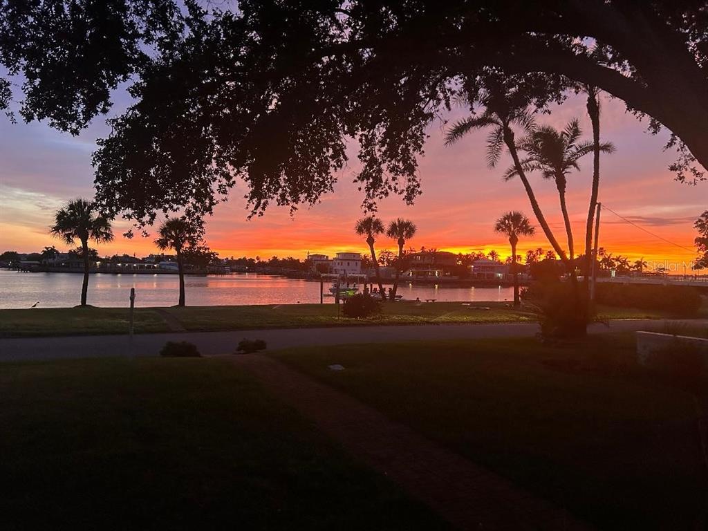 Two palm trees stand on a grassy lawn overlooking a calm body of water — 110 SUNSET DRIVE S, ST PETERSBURG, FL
