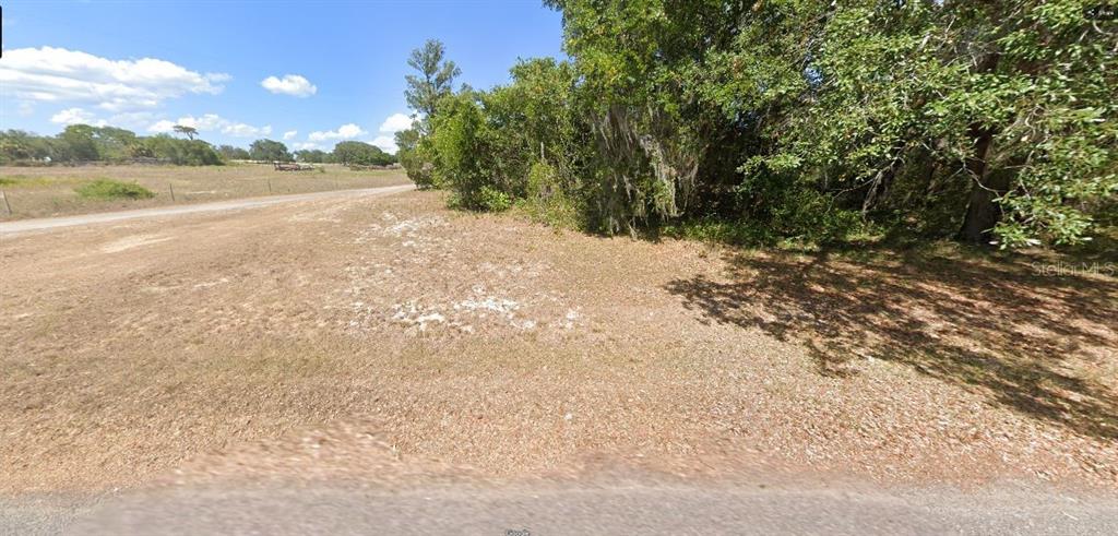 A dirt road runs alongside a grassy, partially wooded vacant lot under a blue sky — LIBBY ROAD, BABSON PARK, FL