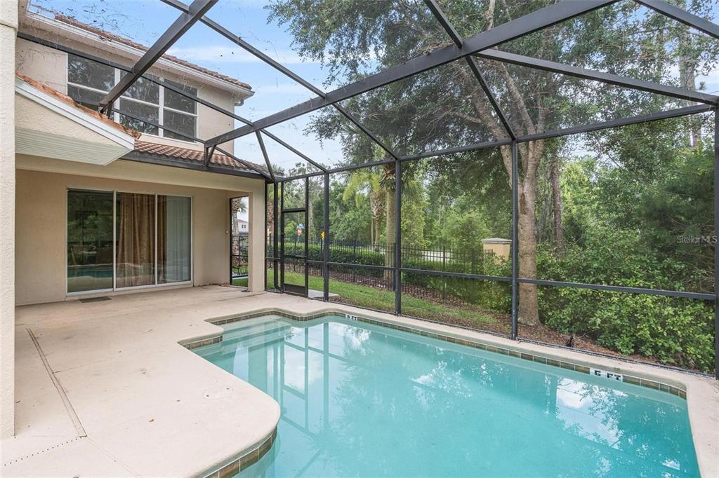 2900 BANANA PALM DRIVE, KISSIMMEE, FL — photo 5 of 30