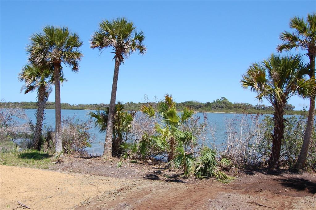A view of a waterfront area with several palm trees and native vegetation under blue skies — 183 JONES FISH CAMP ROAD, EDGEWATER, FL