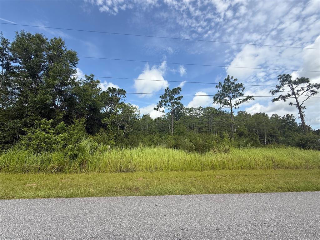 TOPEKA AVENUE, ST CLOUD, FL — photo 3 of 8