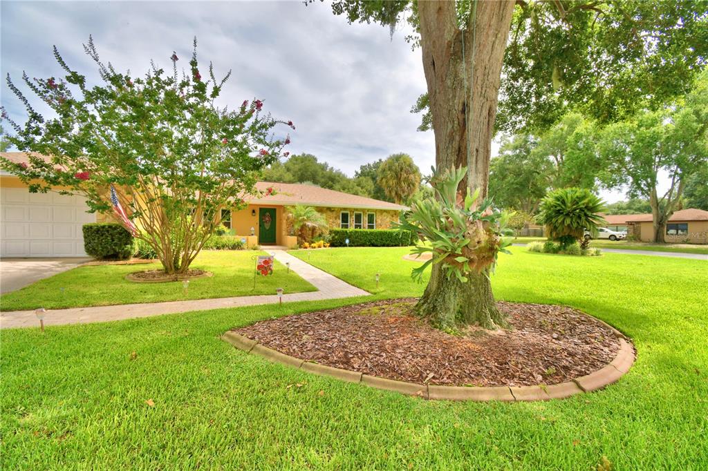 A yellow house exterior features a green front door, a stone accent wall, and landscaping — 902 CRESTVIEW DRIVE, AUBURNDALE, FL
