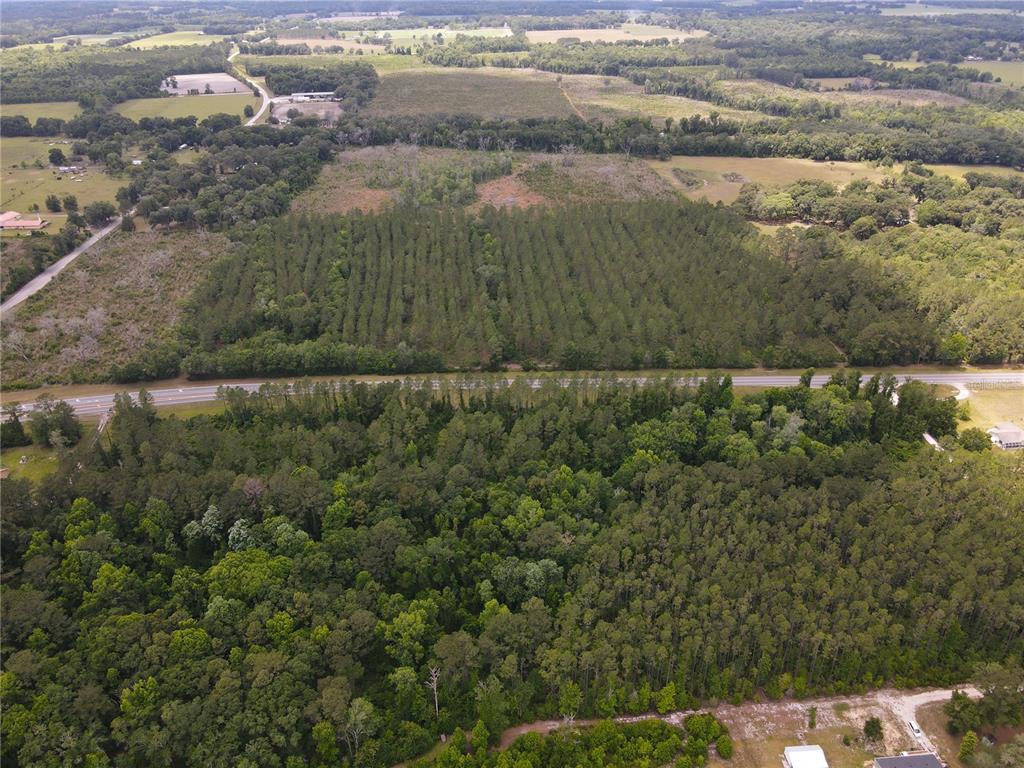 An aerial view shows a large forested area divided by a paved highway — TBD N STATE ROAD 121 UNIT 3, ALACHUA, FL