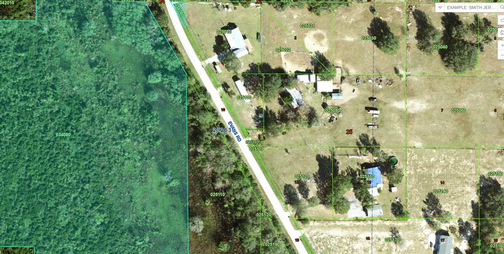A wooded lot with tall pine trees and dense undergrowth under a clear blue sky — EVANS RD, POLK CITY, FL