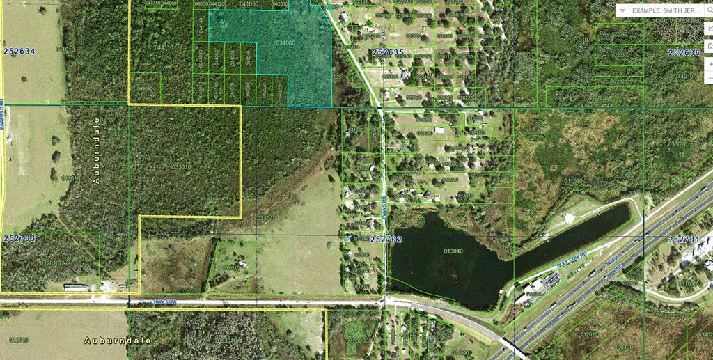 A grassy backyard features large trees, a sandy patch, and a few scattered outdoor items — EVANS RD, POLK CITY, FL