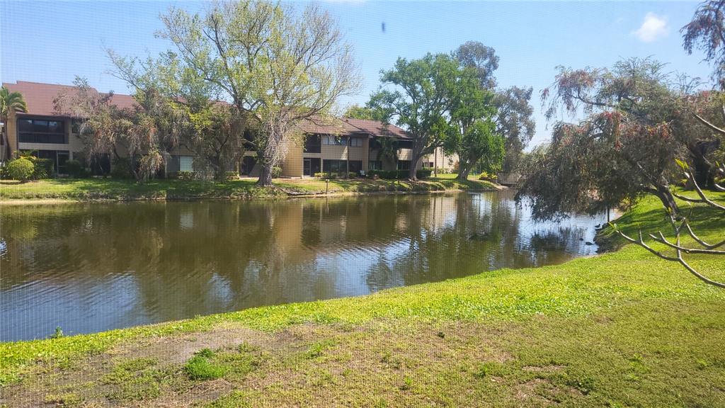 A view of a pond and trees in front of a multi-story apartment building — 875 S VILLAGE DRIVE N UNIT 102, ST PETERSBURG, FL