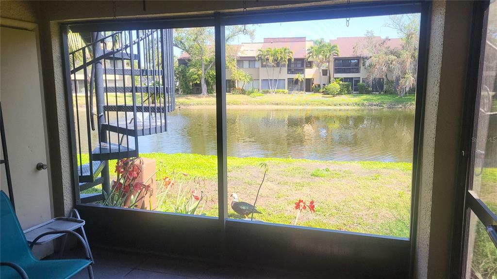 A screened-in porch overlooks a pond with a spiral staircase and a duck on the lawn — 875 S VILLAGE DRIVE N UNIT 102, ST PETERSBURG, FL
