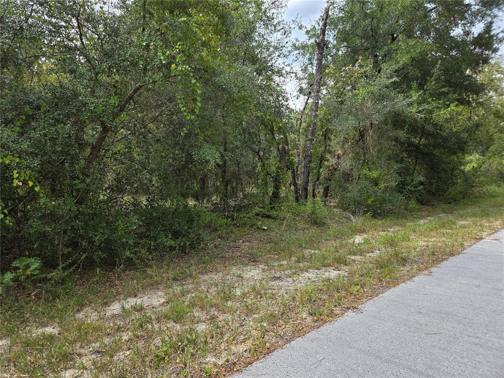 0000 SW SOUTH WATER COURT, DUNNELLON, FL — photo 4 of 7