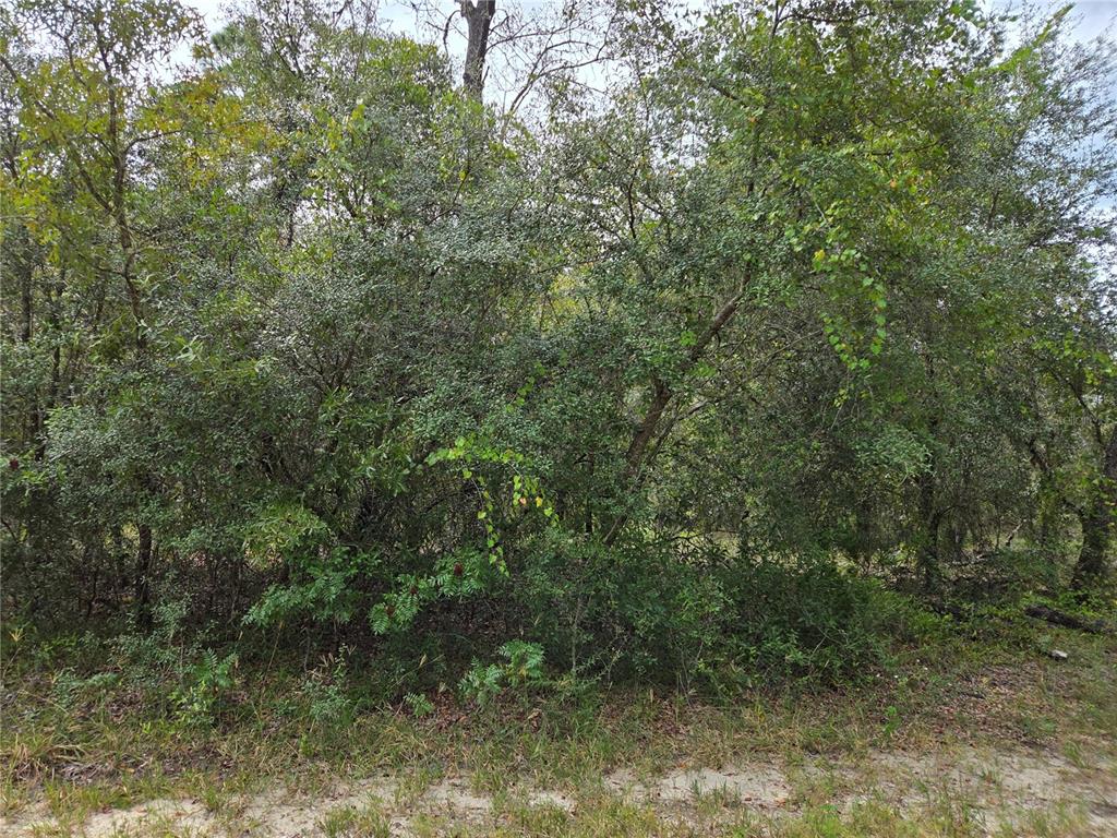 0000 SW SOUTH WATER COURT, DUNNELLON, FL — photo 5 of 7