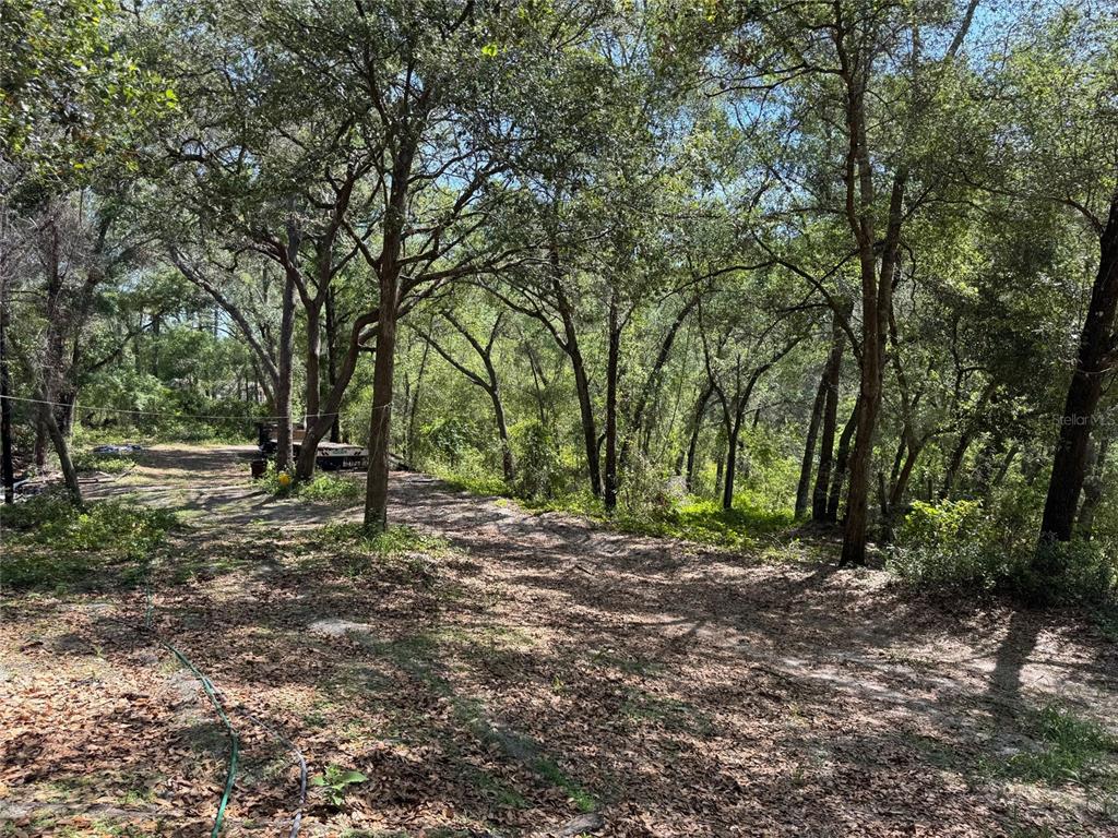A wooded, sloped lot with a dirt path and a trailer parked in the distance — 16137 SE 34TH PLACE, OCKLAWAHA, FL