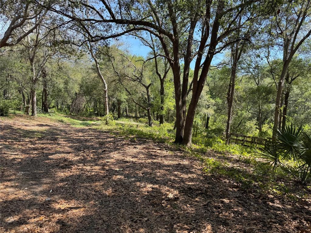 A wooded lot with a dirt path covered in fallen leaves under a canopy of trees — 16137 SE 34TH PLACE, OCKLAWAHA, FL