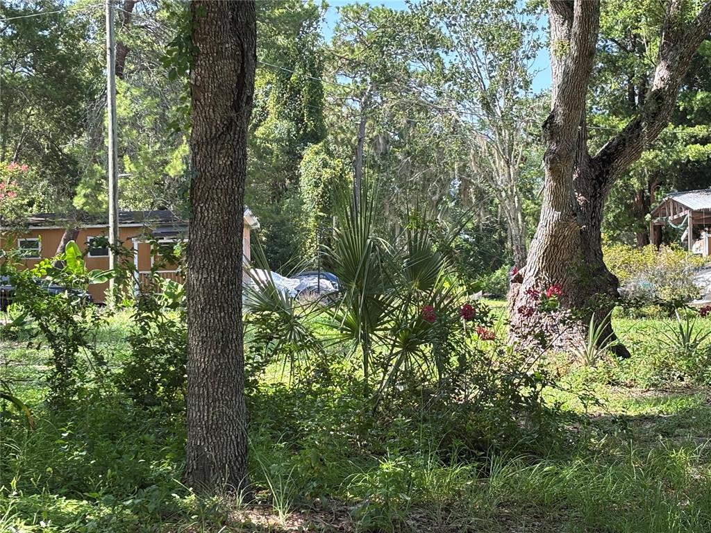 A white mobile home sits on a wooded lot with a dirt driveway and two vehicles — 10416 HUDSON AVENUE, HUDSON, FL