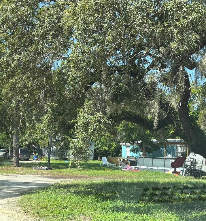 A view of a wooded yard with mature trees, a palm plant, and a small house — 10416 HUDSON AVENUE, HUDSON, FL