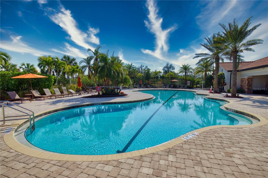 A swimming pool with a paved deck, lounge chairs, and palm trees under a blue sky — 5668 CANTUCCI STREET, NOKOMIS, FL