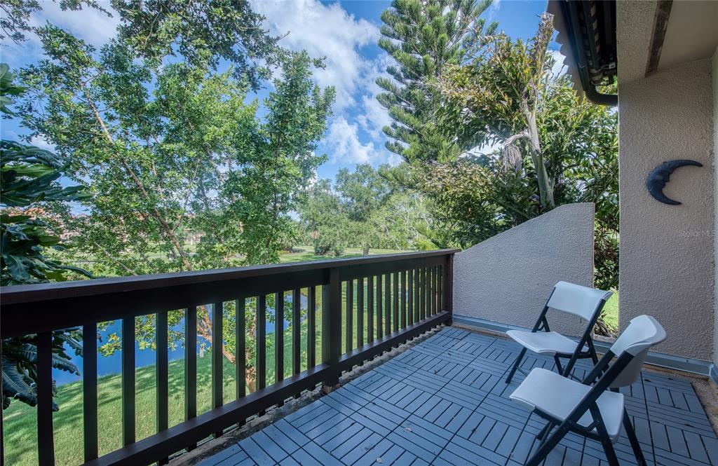 A covered patio features a brown wood-paneled wall, a patterned rug, and a large plant — 1328 PELICAN CREEK CROSSING UNIT D, ST PETERSBURG, FL
