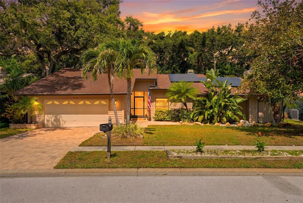 A single-story house with a paved driveway, solar panels, and palm trees in the front yard — 4733 LAKE VALENCIA BOULEVARD W, PALM HARBOR, FL
