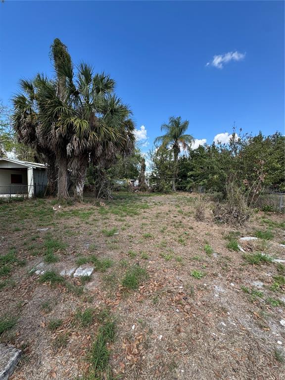 A grassy, undeveloped lot features two large palm trees under a clear blue sky — 831 4TH STREET, WINTER HAVEN, FL
