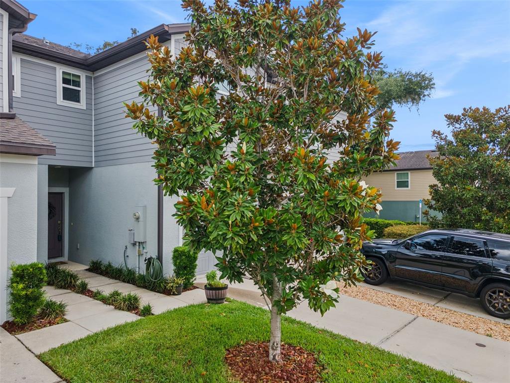 A two-story townhouse exterior features a large magnolia tree in the front yard — 5329 SYLVESTER LOOP, TAMPA, FL