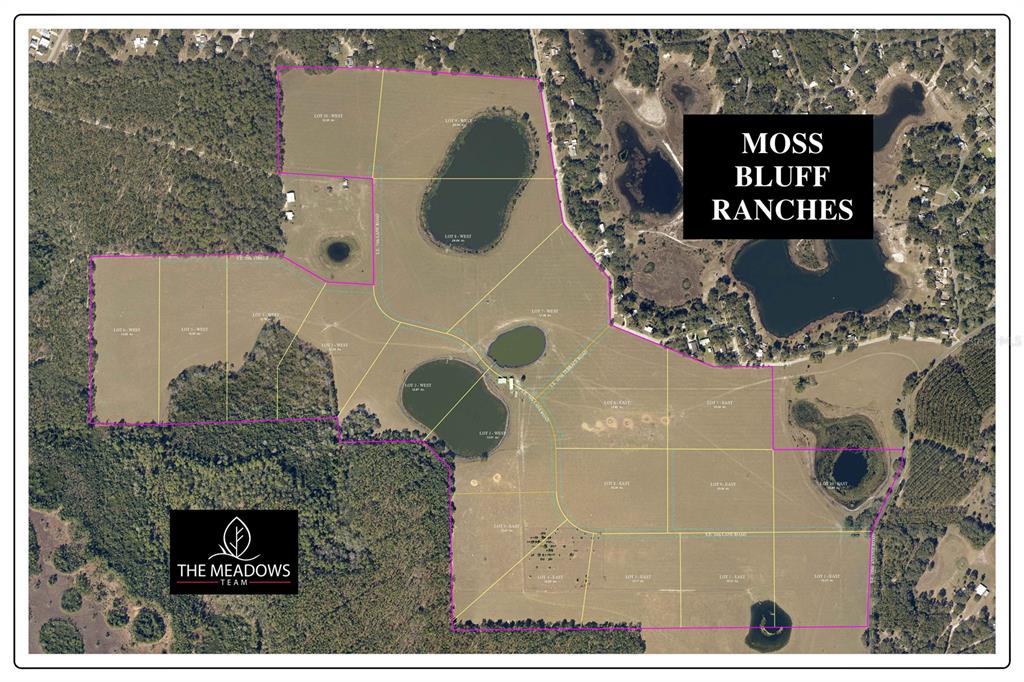 An aerial map shows the property boundaries of Moss Bluff Ranches divided into multiple lots — SE 74TH LANE ROAD UNIT 9-WEST, OCKLAWAHA, FL