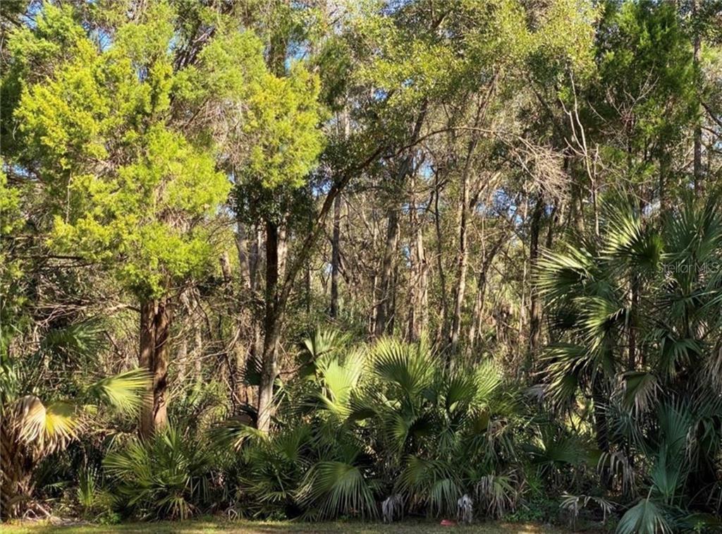 4121 N Sun Dance POINT, CRYSTAL RIVER, FL — photo 2 of 4
