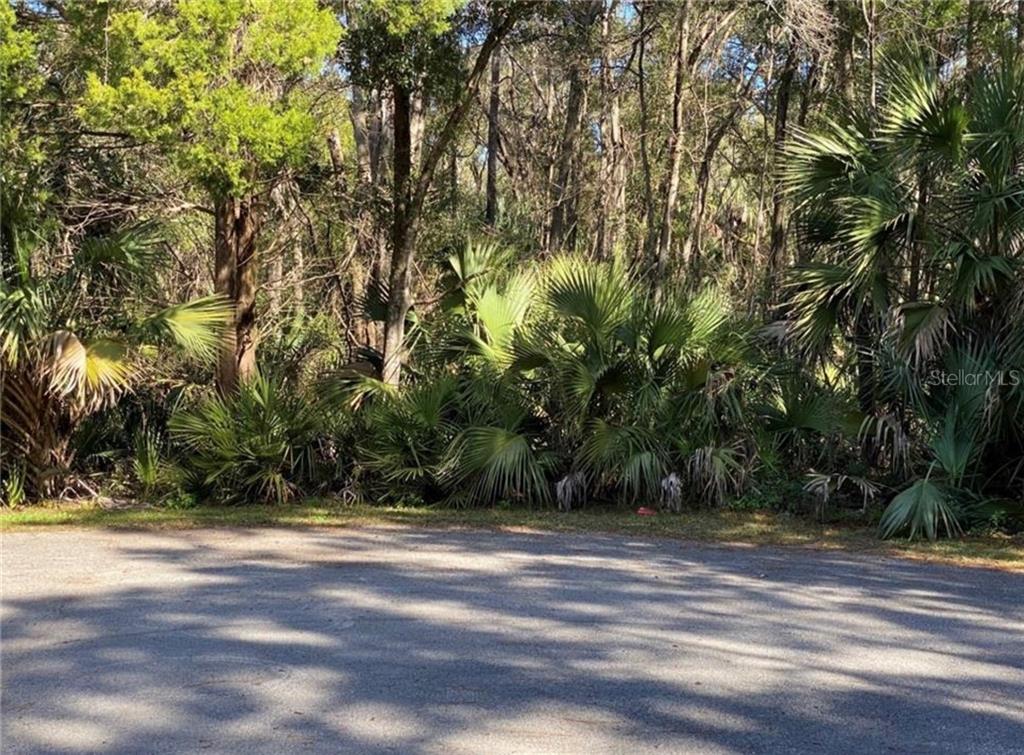 4121 N Sun Dance POINT, CRYSTAL RIVER, FL — photo 3 of 4