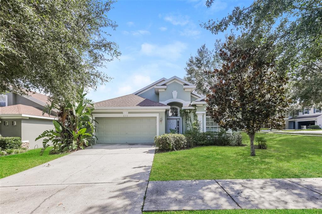650 CHESNEY DRIVE