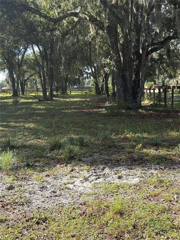 CURRYVILLE ROAD, CHULUOTA, FL — photo 2 of 15