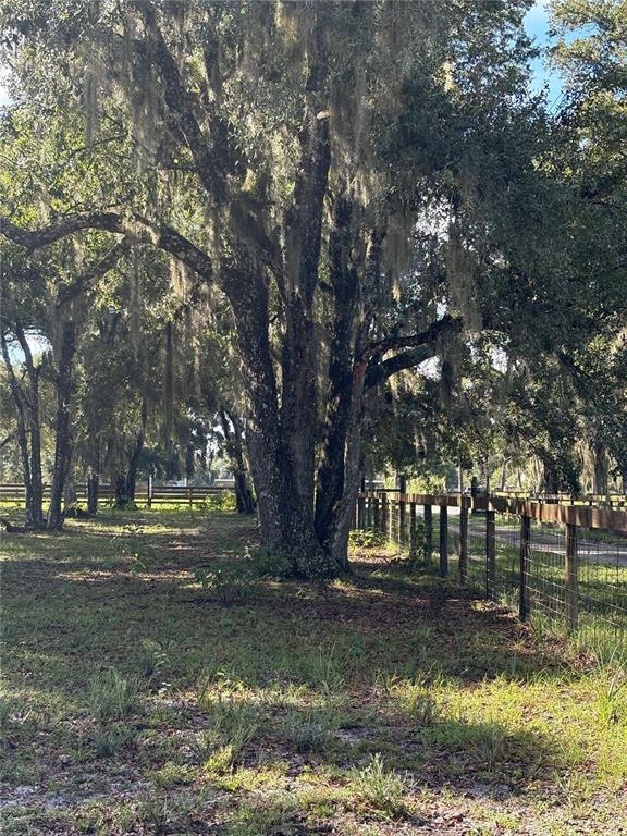 CURRYVILLE ROAD, CHULUOTA, FL — photo 3 of 15