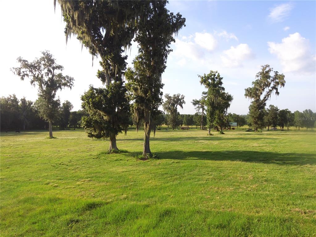 A grassy field features several large, moss-draped trees under a blue sky with clouds — 11077 PONCE DE LEON BOULEVARD, BROOKSVILLE, FL