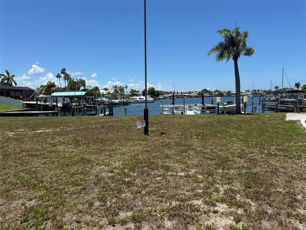 A grassy waterfront lot features a boat dock and a palm tree under a blue sky — 1000 APOLLO BEACH BOULEVARD UNIT 204, APOLLO BEACH, FL