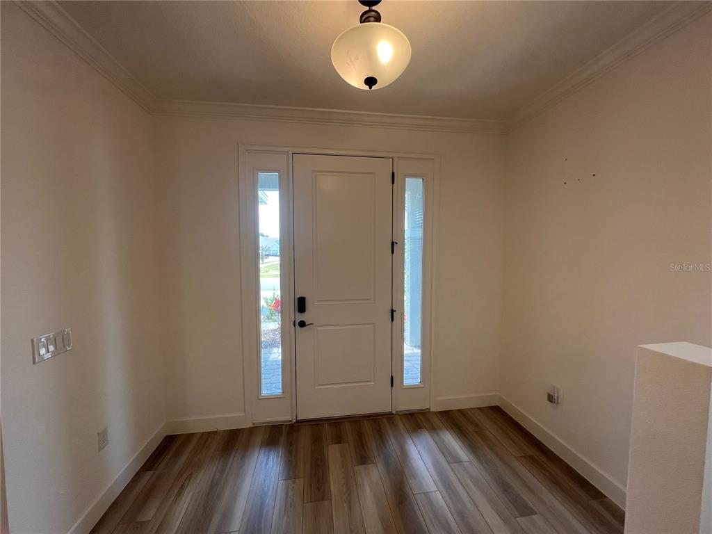An entryway features a white front door with sidelights, wood-look flooring, and a ceiling light — 931 SIGNET DRIVE, APOLLO BEACH, FL