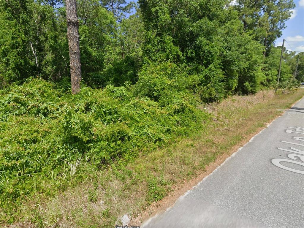 A view of a roadside lot covered in dense green vegetation and trees — TBD OAK LANE TRACK, OCALA, FL