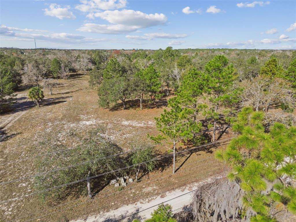 An aerial view shows a large, wooded plot of land with scattered trees and vegetation — 14459 COYOTE ROAD, HUDSON, FL