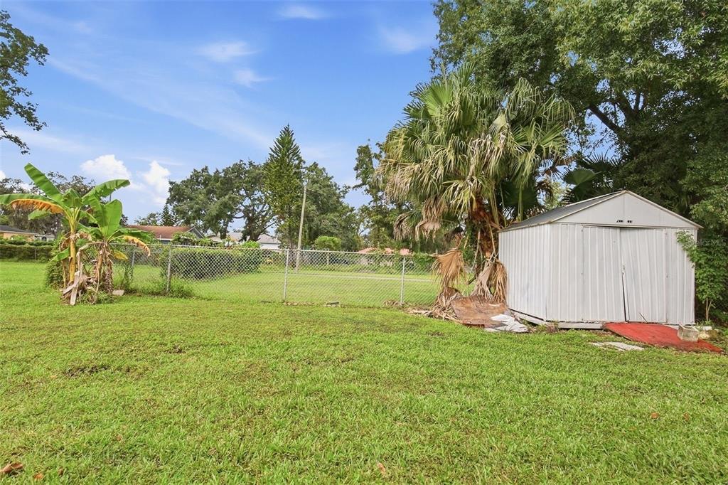 6804 N WILLOW AVENUE, TAMPA, FL — photo 3 of 6
