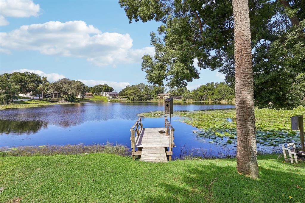 A wooden dock extends into a lake filled with lily pads under a blue sky — 1460 GROVE STREET, EUSTIS, FL