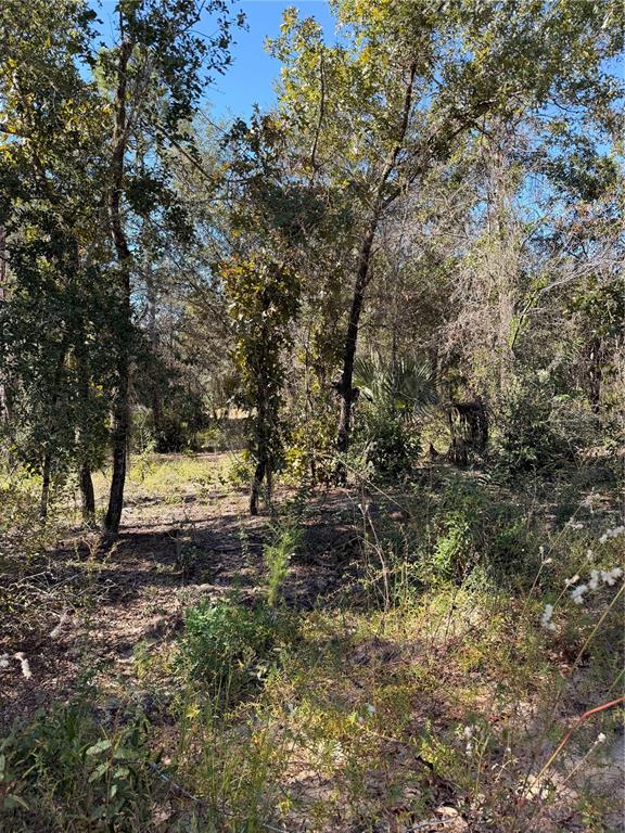 0 CYPRESS STREET, INTERLACHEN, FL — photo 3 of 11
